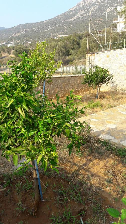 Εξωτικο Διαμερισμα Με Θεα Την Παραλια Αλυκης Villa Aliki  Ngoại thất bức ảnh